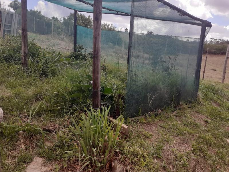 0 Bedroom Property for Sale in Riversdale Western Cape